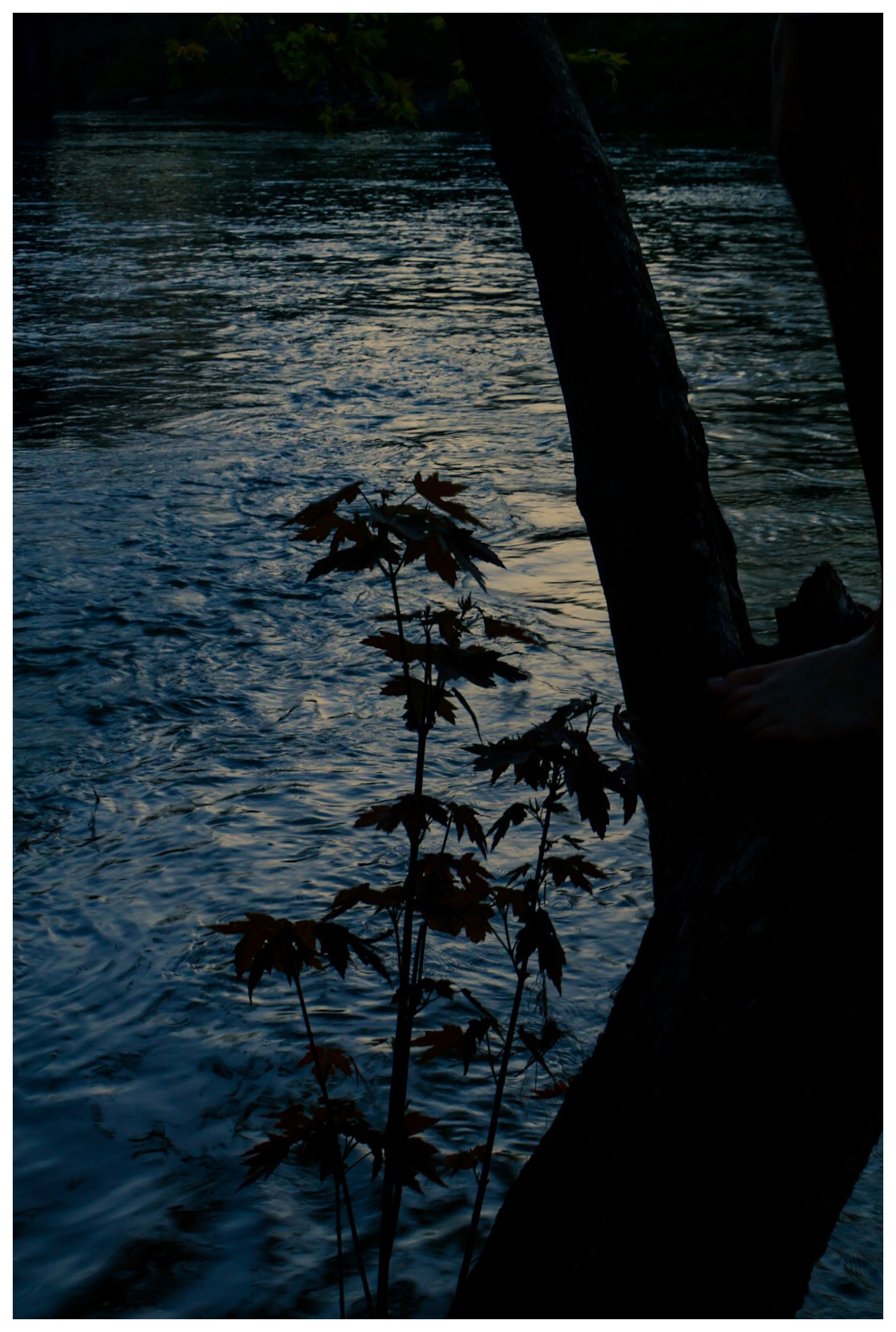 Photography sample by Coleman Calmus