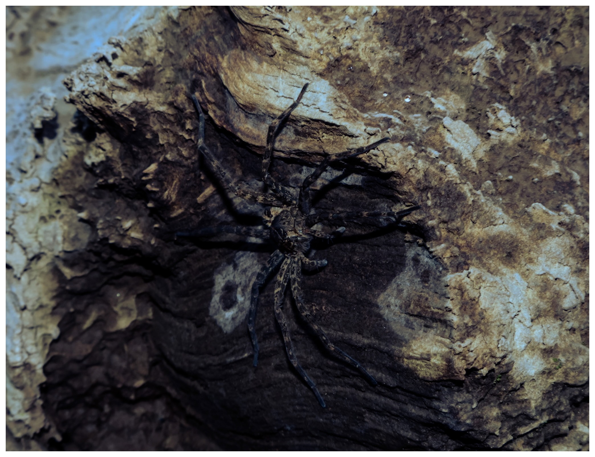 Photography sample by Coleman Calmus